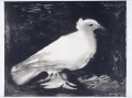 Taubenvogel schwarz und weiß Kubismus Pablo Picasso
